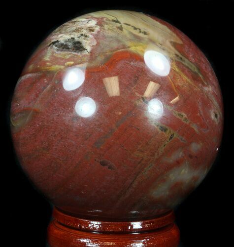 Colorful Petrified Wood Sphere #36963